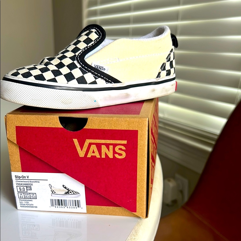 Vans Checkered Slip-On Shoes